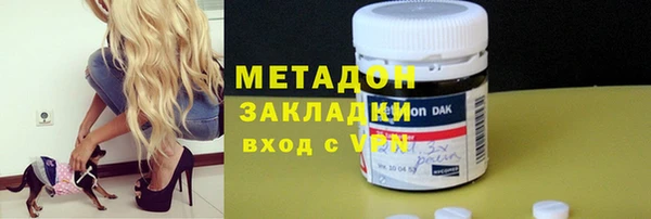 прущие грибы Абинск