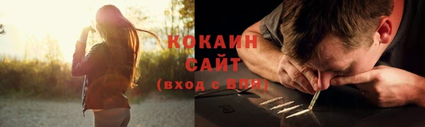 соль ск Алексин