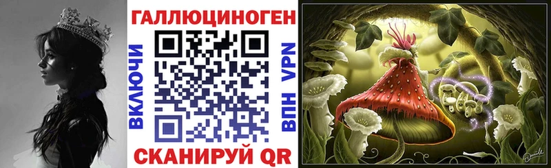 Псилоцибиновые грибы прущие грибы Оса
